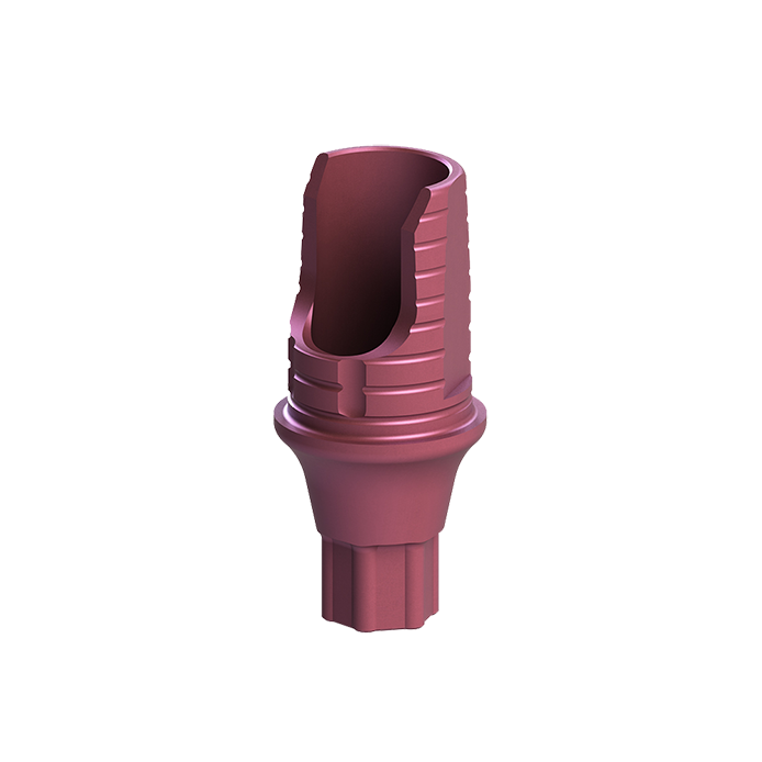 CAD-CAM components Engaging Ti-Base connection MiP3.0